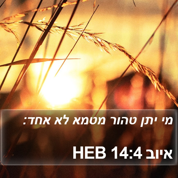 איוב 14:4 HEB Bible Study