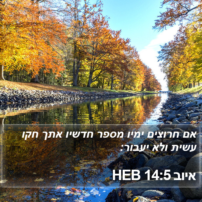 איוב 14:5 HEB Bible Study