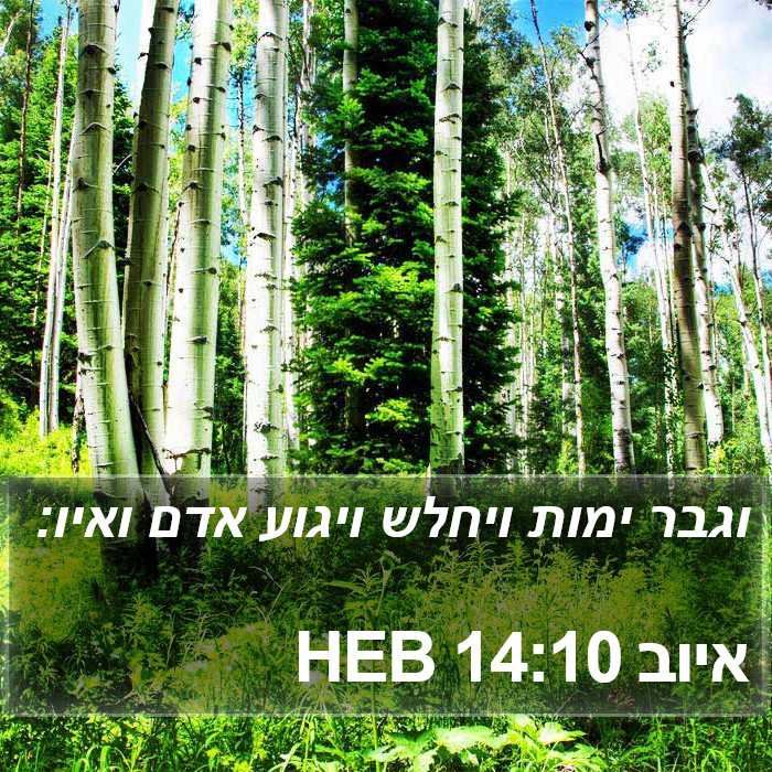 איוב 14:10 HEB Bible Study