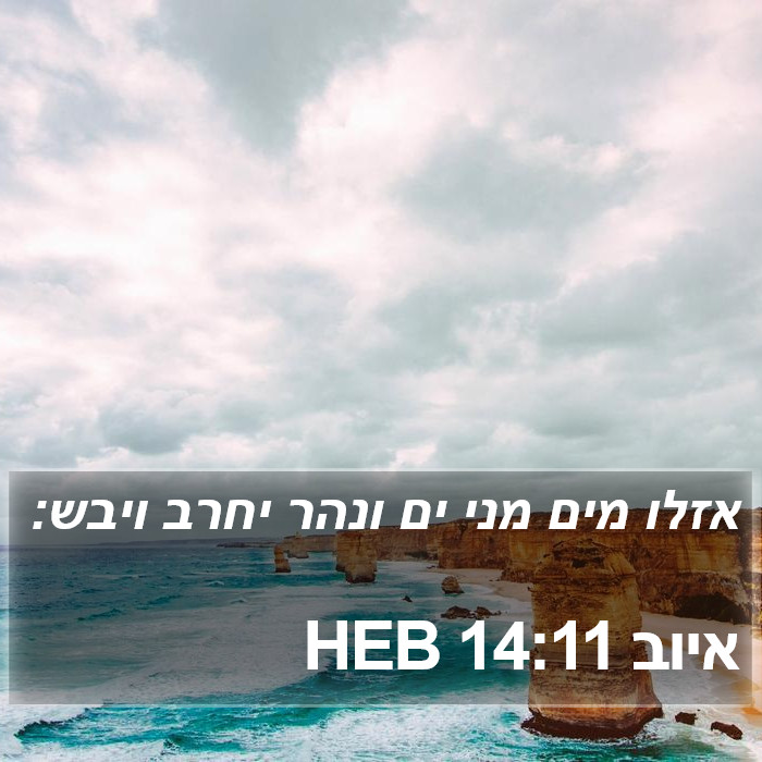 איוב 14:11 HEB Bible Study