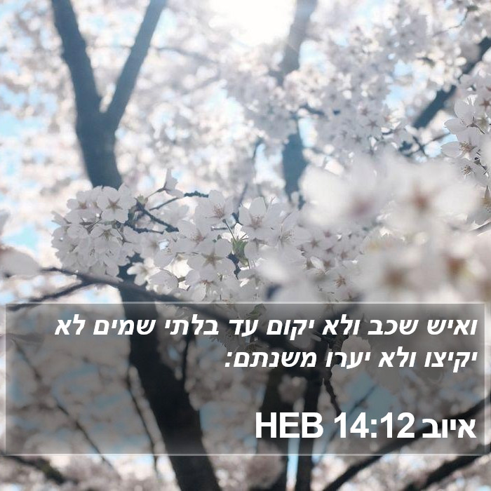 איוב 14:12 HEB Bible Study