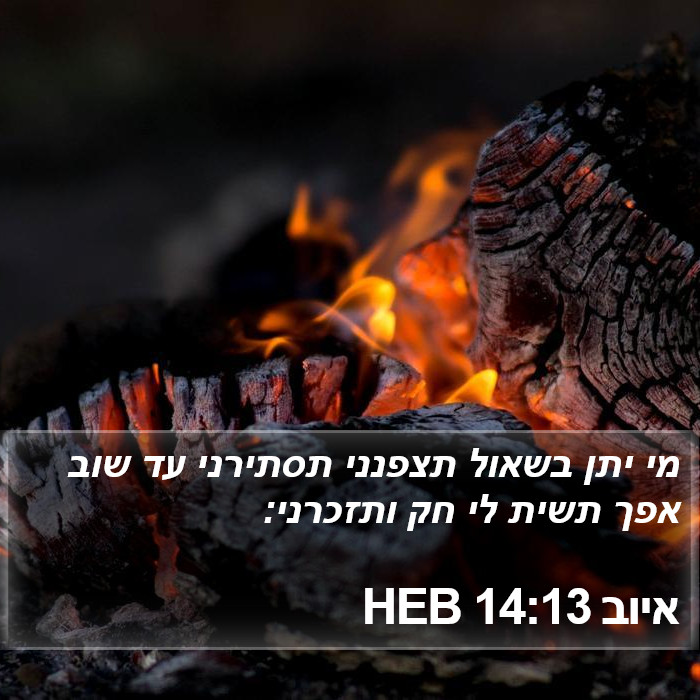 איוב 14:13 HEB Bible Study