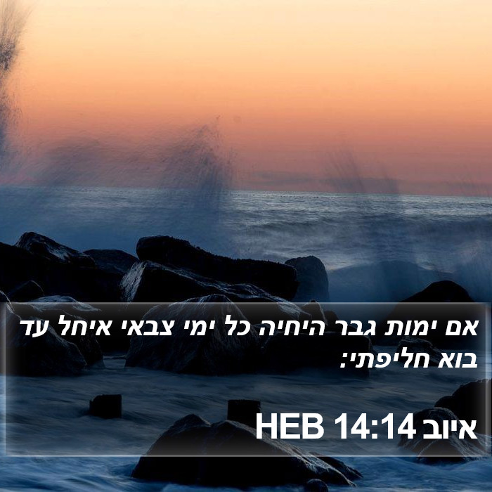 איוב 14:14 HEB Bible Study