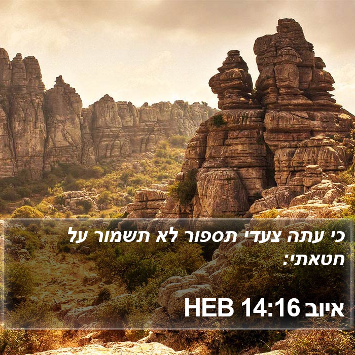 איוב 14:16 HEB Bible Study