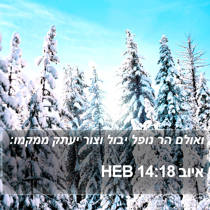 איוב 14:18 HEB Bible Study