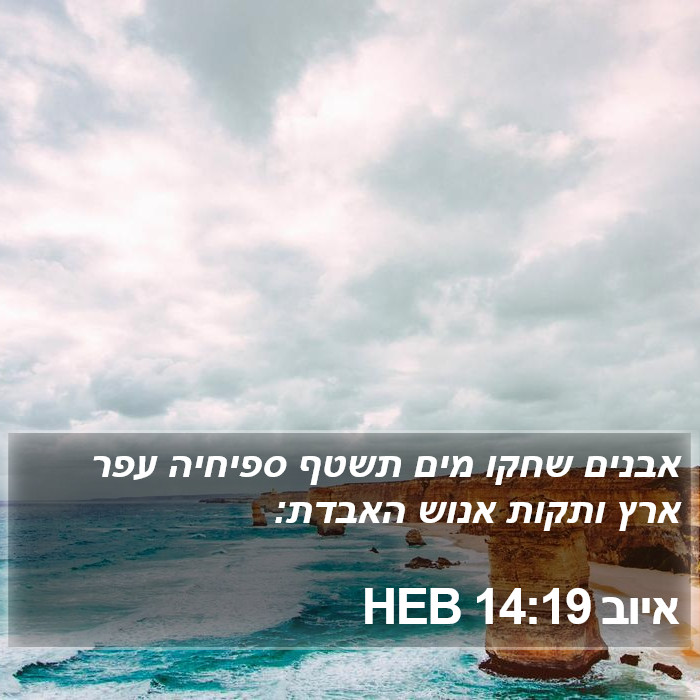 איוב 14:19 HEB Bible Study