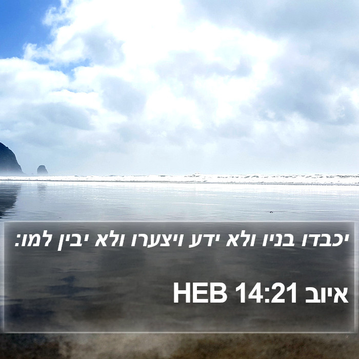 איוב 14:21 HEB Bible Study