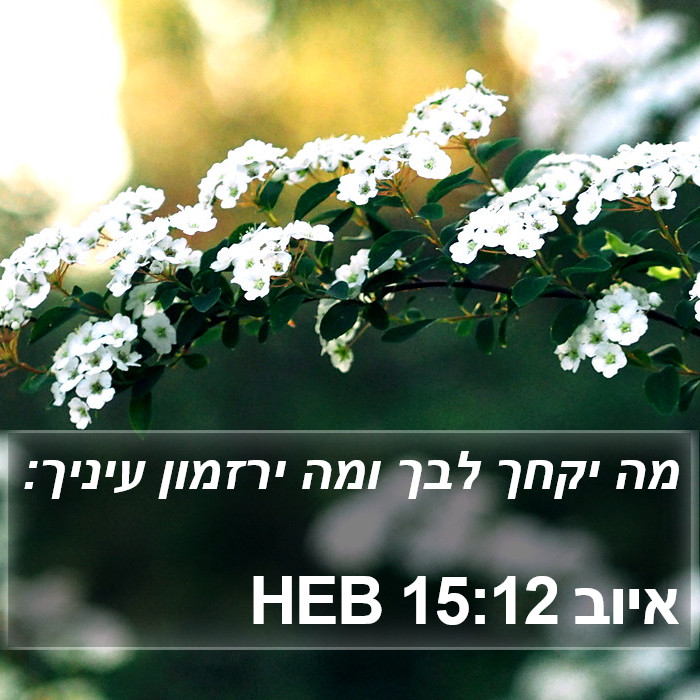 איוב 15:12 HEB Bible Study