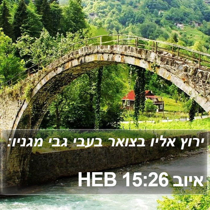 איוב 15:26 HEB Bible Study