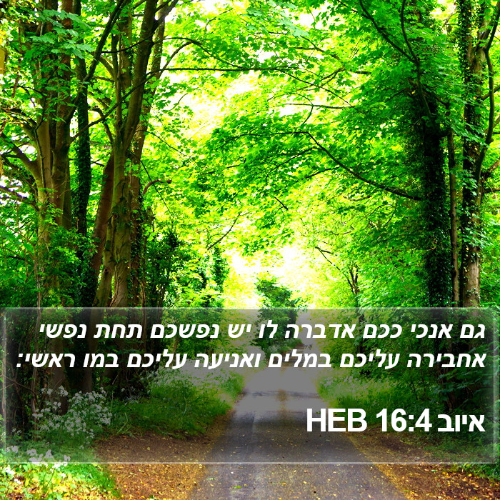 איוב 16:4 HEB Bible Study