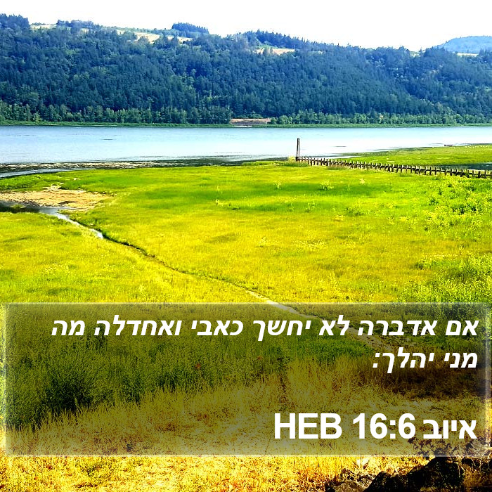 איוב 16:6 HEB Bible Study