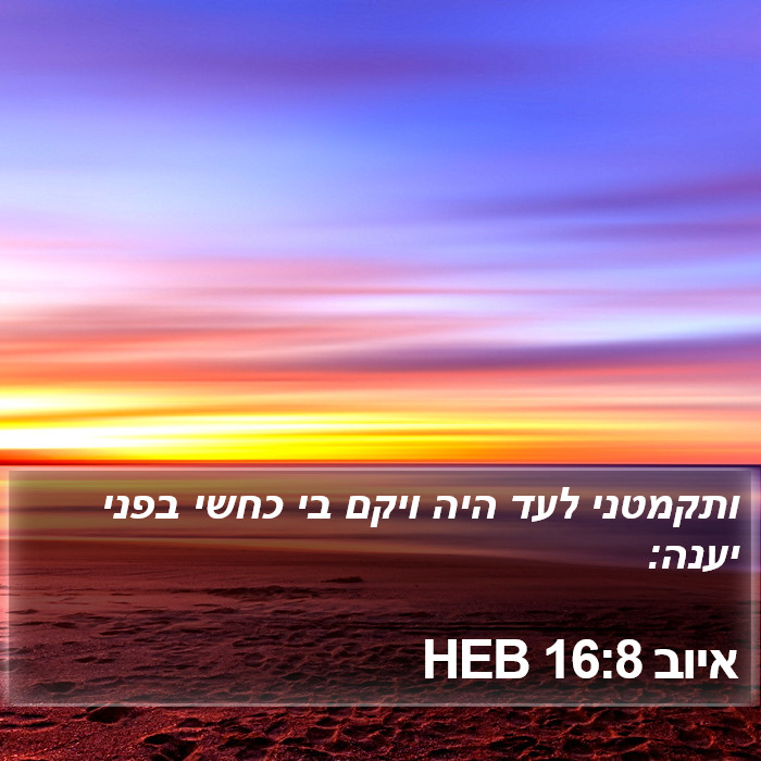 איוב 16:8 HEB Bible Study