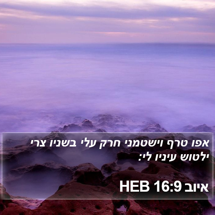 איוב 16:9 HEB Bible Study