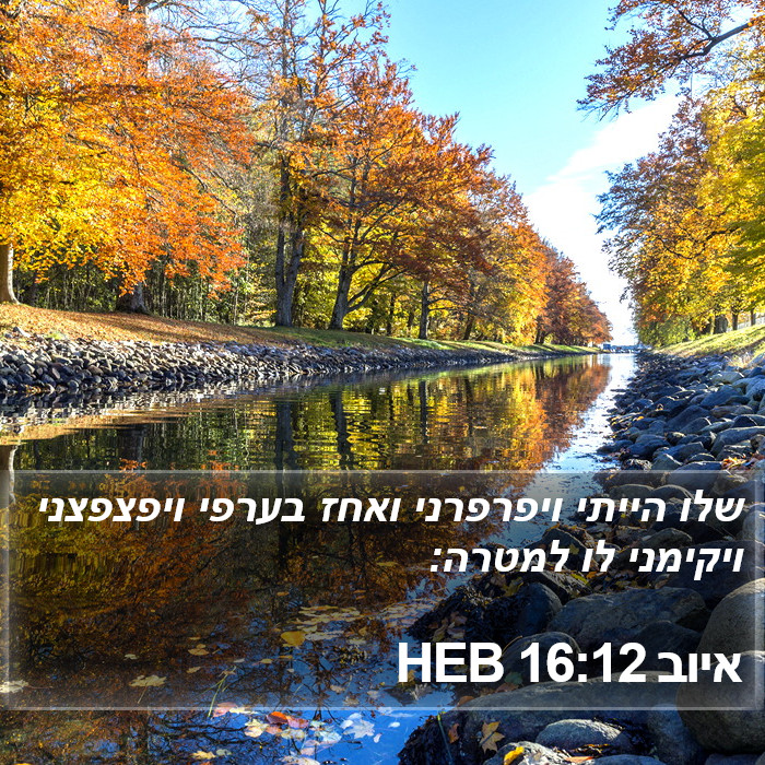 איוב 16:12 HEB Bible Study