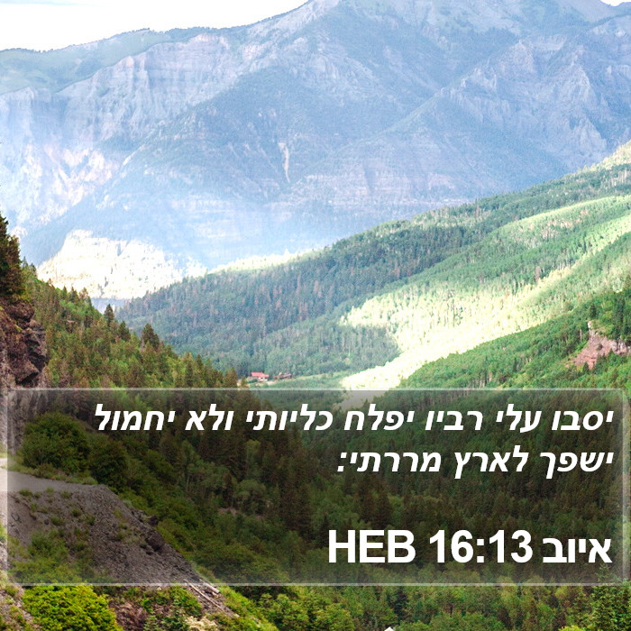 איוב 16:13 HEB Bible Study