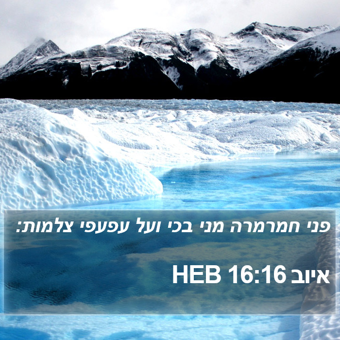 איוב 16:16 HEB Bible Study