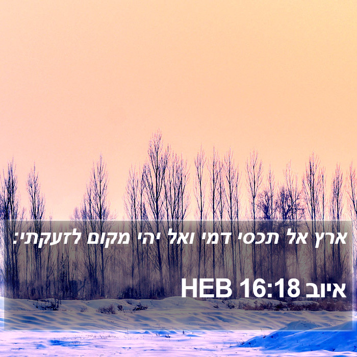 איוב 16:18 HEB Bible Study