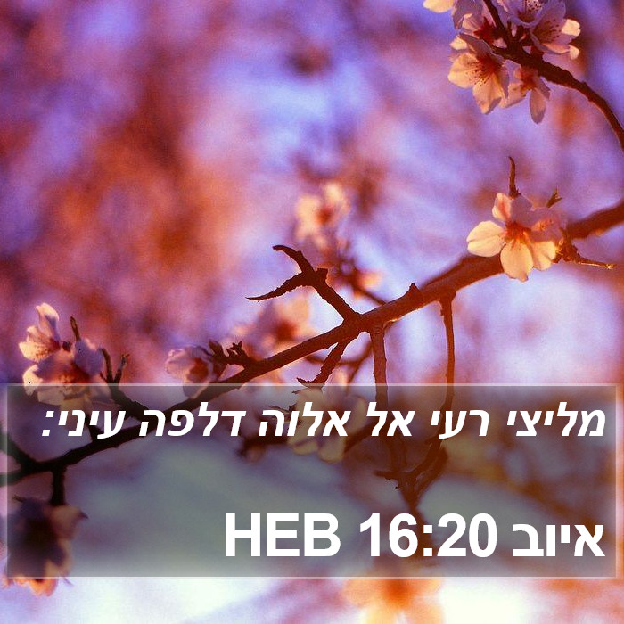 איוב 16:20 HEB Bible Study