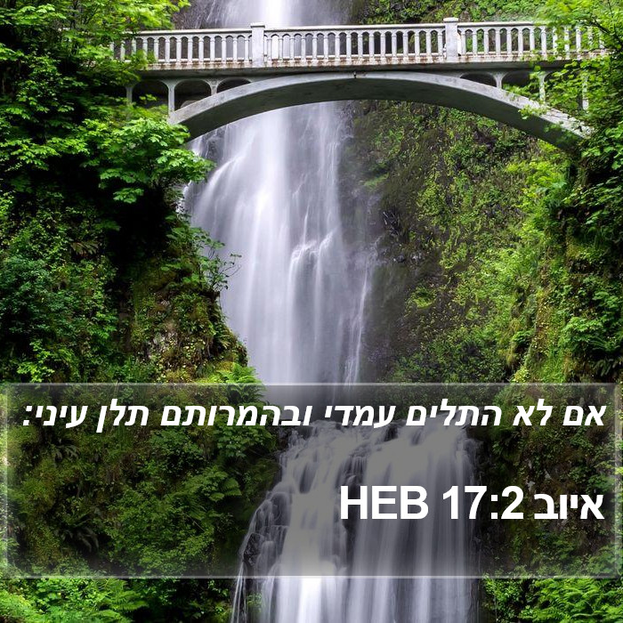 איוב 17:2 HEB Bible Study