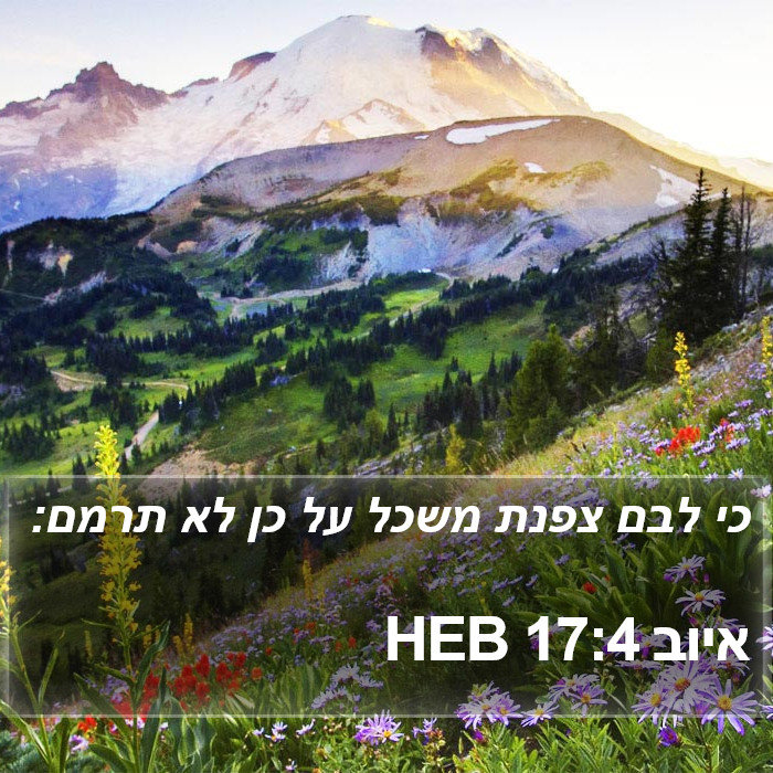 איוב 17:4 HEB Bible Study