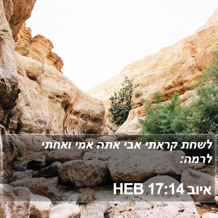 איוב 17:14 HEB Bible Study