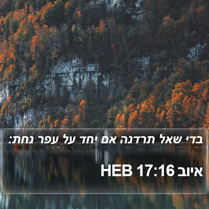 איוב 17:16 HEB Bible Study