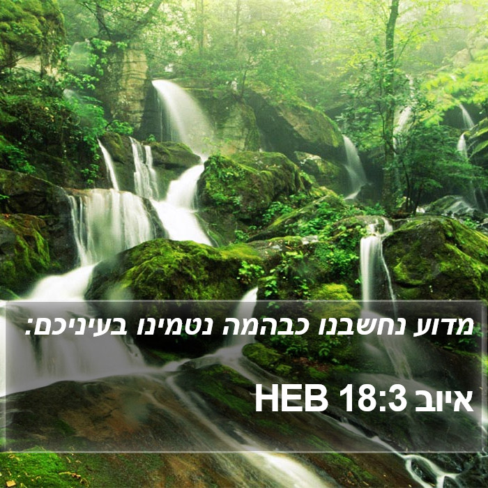 איוב 18:3 HEB Bible Study