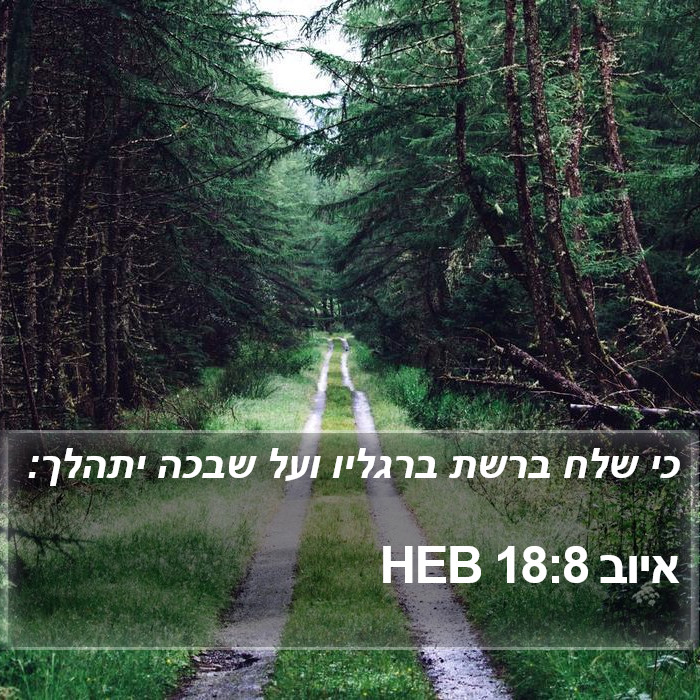 איוב 18:8 HEB Bible Study