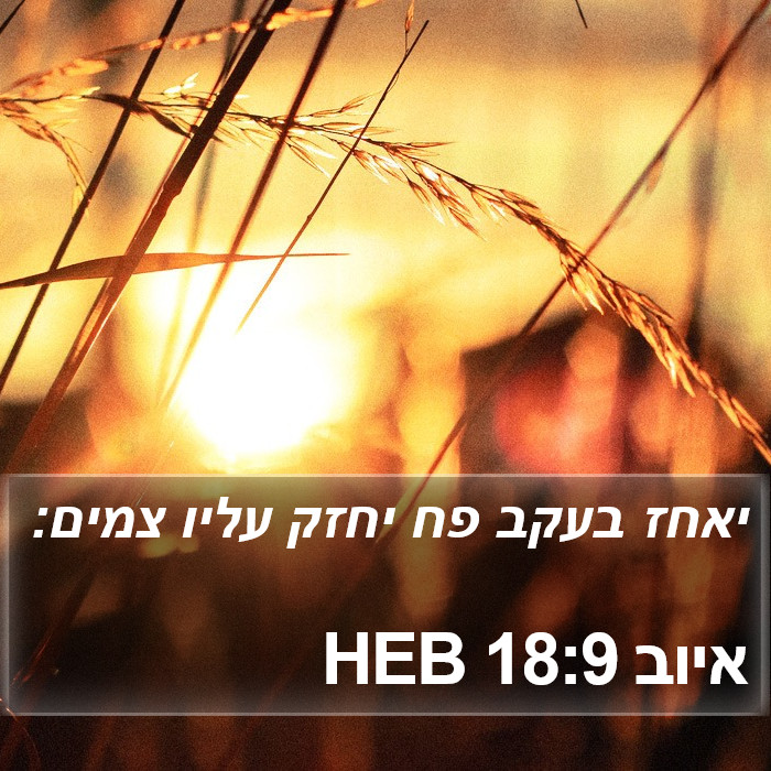 איוב 18:9 HEB Bible Study