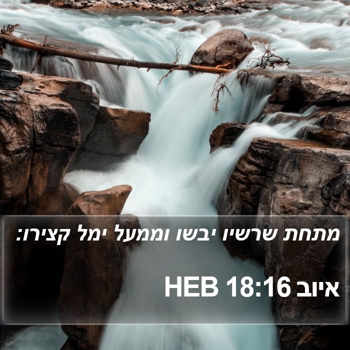 איוב 18:16 HEB Bible Study