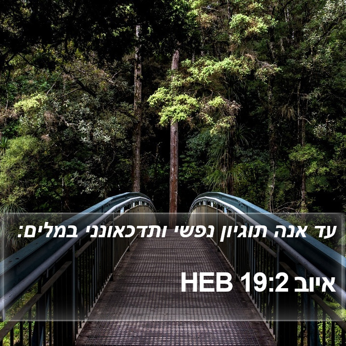 איוב 19:2 HEB Bible Study