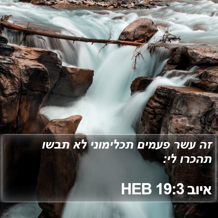 איוב 19:3 HEB Bible Study