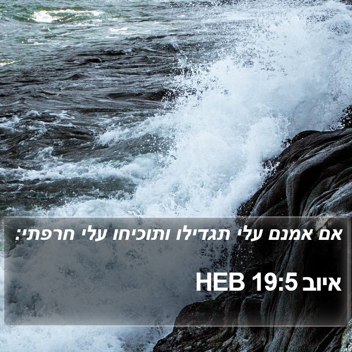 איוב 19:5 HEB Bible Study