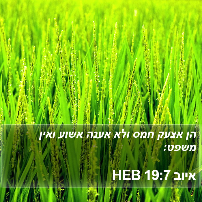 איוב 19:7 HEB Bible Study