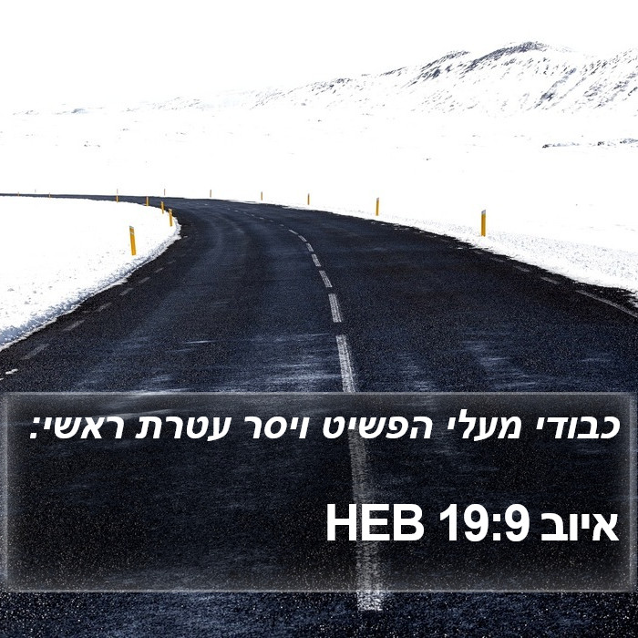 איוב 19:9 HEB Bible Study