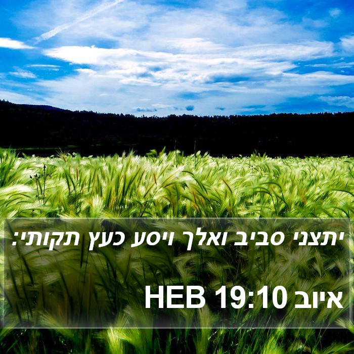 איוב 19:10 HEB Bible Study