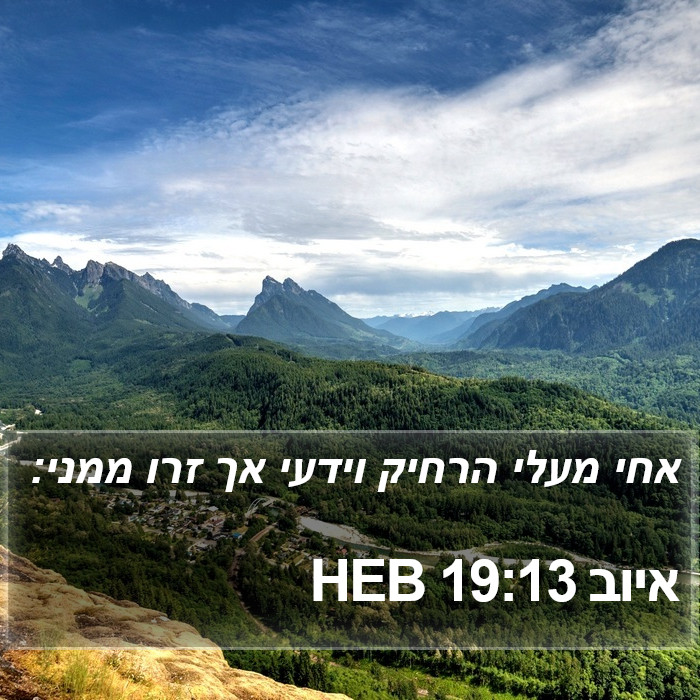 איוב 19:13 HEB Bible Study