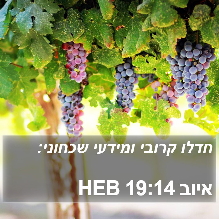 איוב 19:14 HEB Bible Study