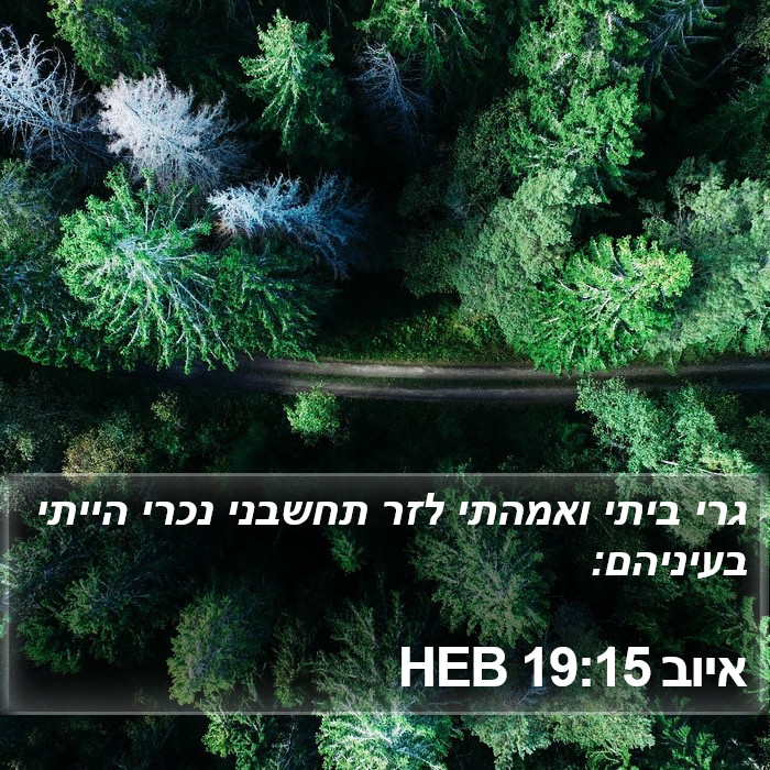 איוב 19:15 HEB Bible Study