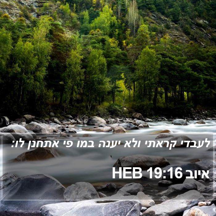 איוב 19:16 HEB Bible Study