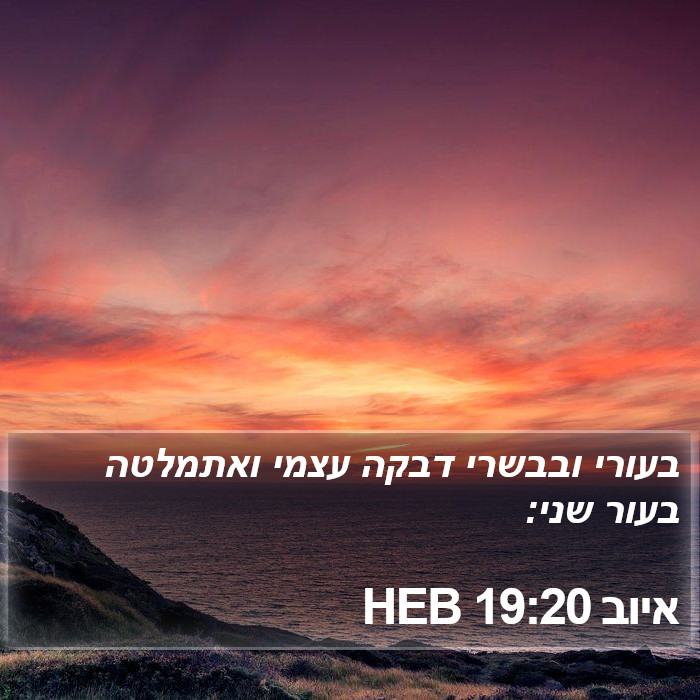 איוב 19:20 HEB Bible Study