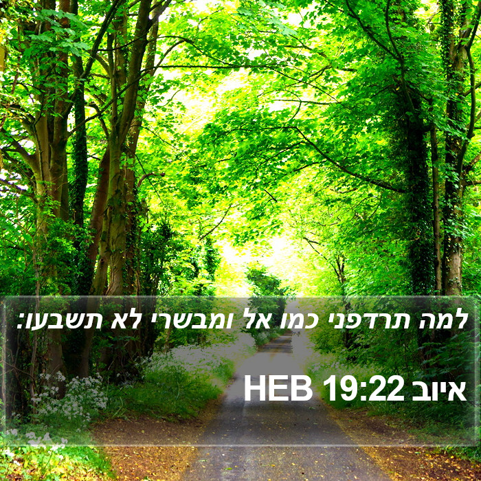 איוב 19:22 HEB Bible Study