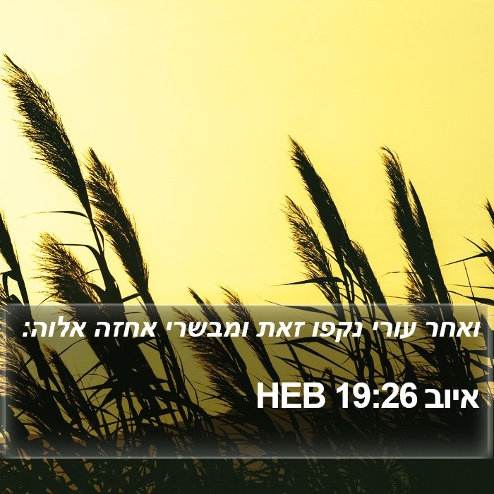 איוב 19:26 HEB Bible Study