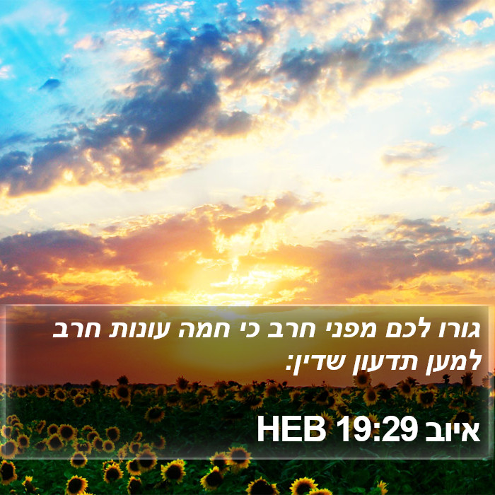 איוב 19:29 HEB Bible Study