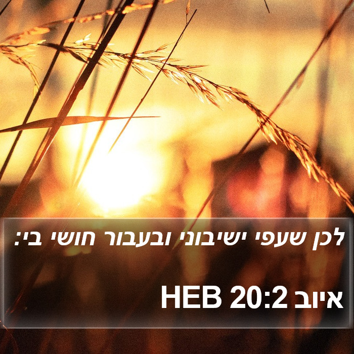 איוב 20:2 HEB Bible Study