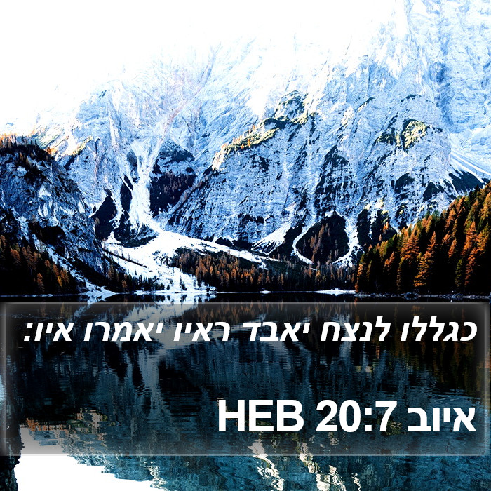 איוב 20:7 HEB Bible Study