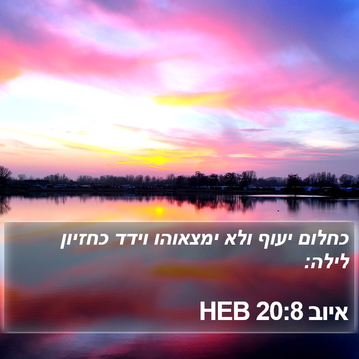 איוב 20:8 HEB Bible Study