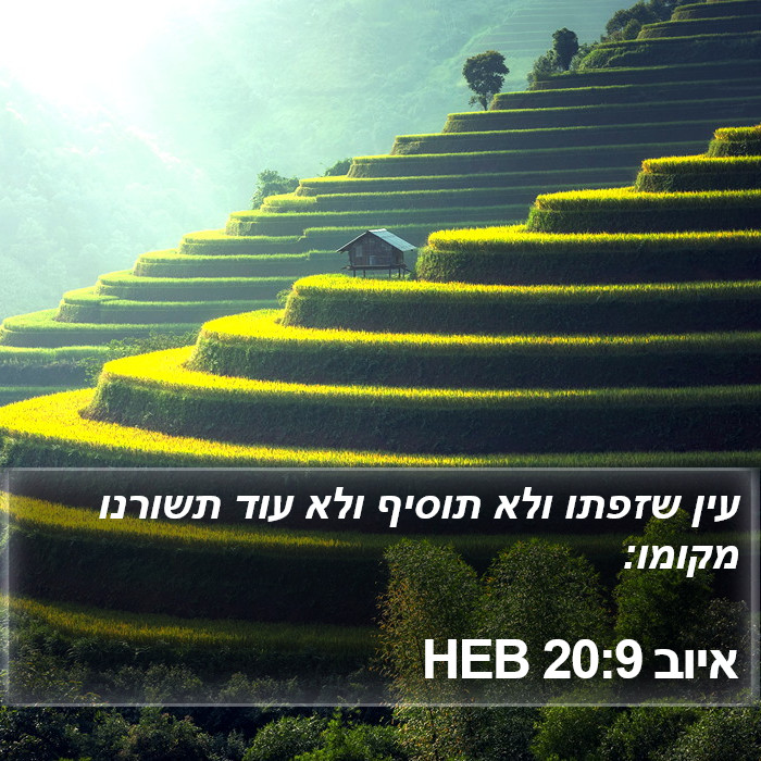 איוב 20:9 HEB Bible Study