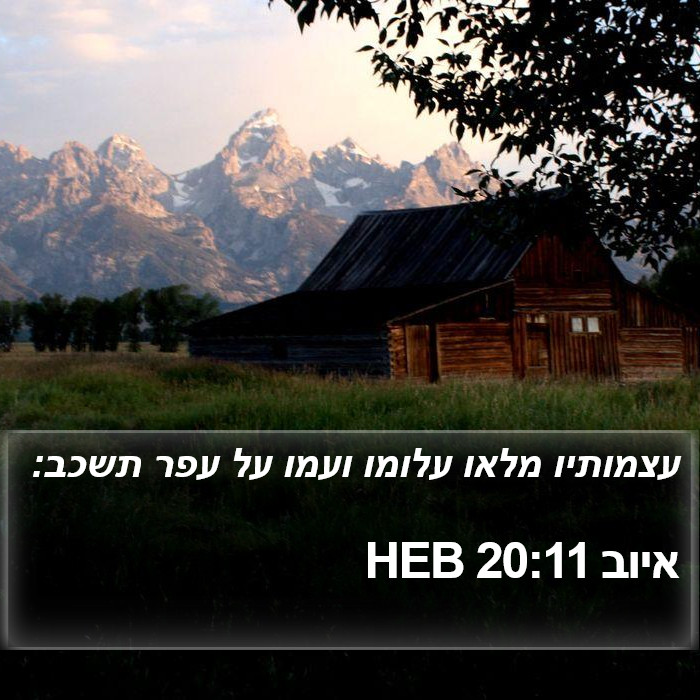 איוב 20:11 HEB Bible Study