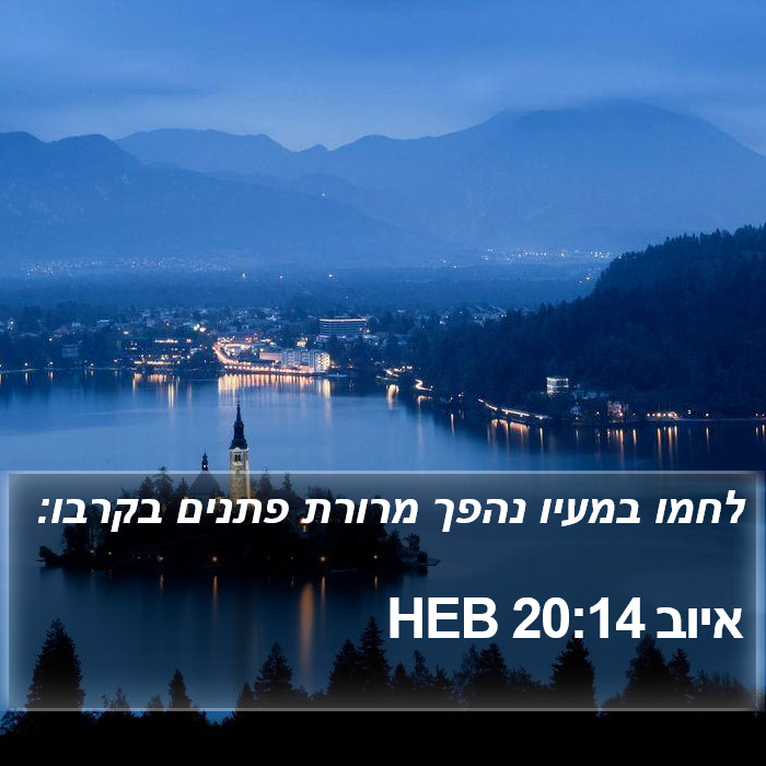 איוב 20:14 HEB Bible Study